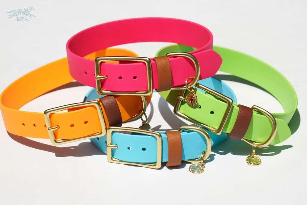 1" Waterproof Buckle Collar