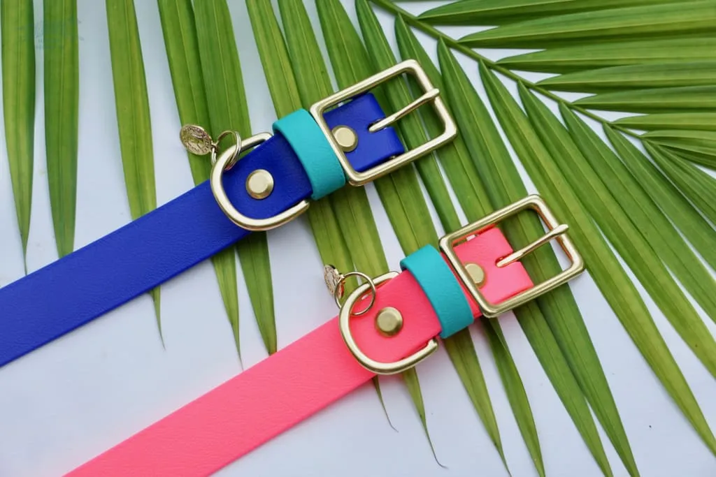 1" Waterproof Buckle Collar