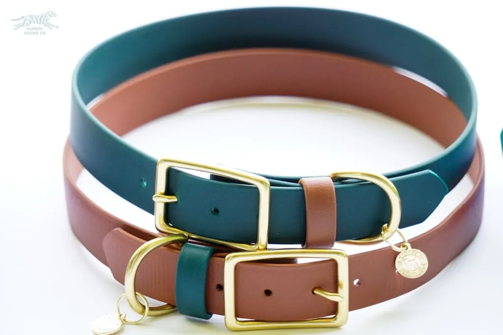 1" Waterproof Buckle Collar