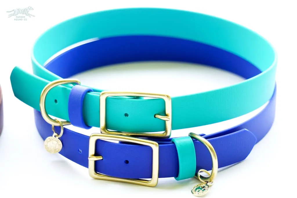 1" Waterproof Buckle Collar