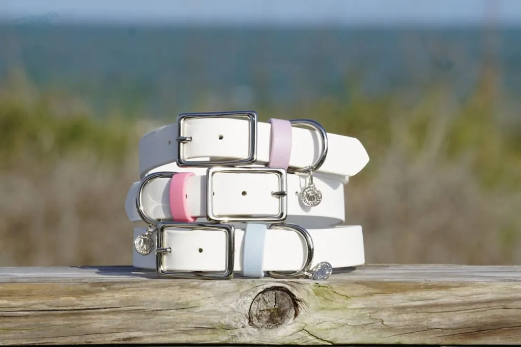 1" Waterproof Buckle Collar