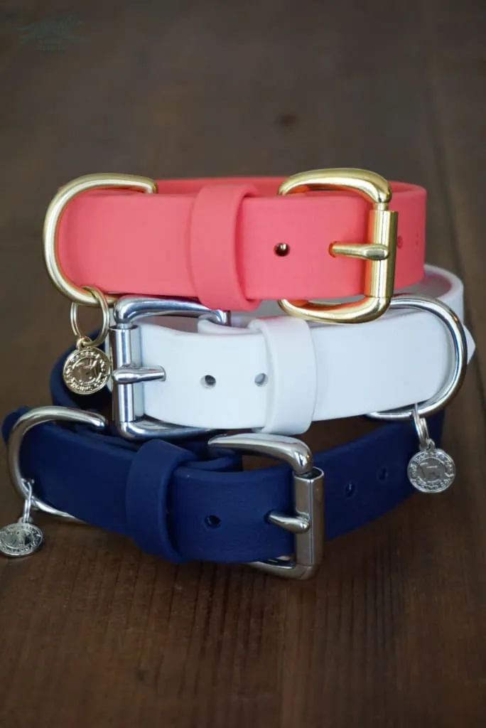 1" Waterproof Buckle Collar