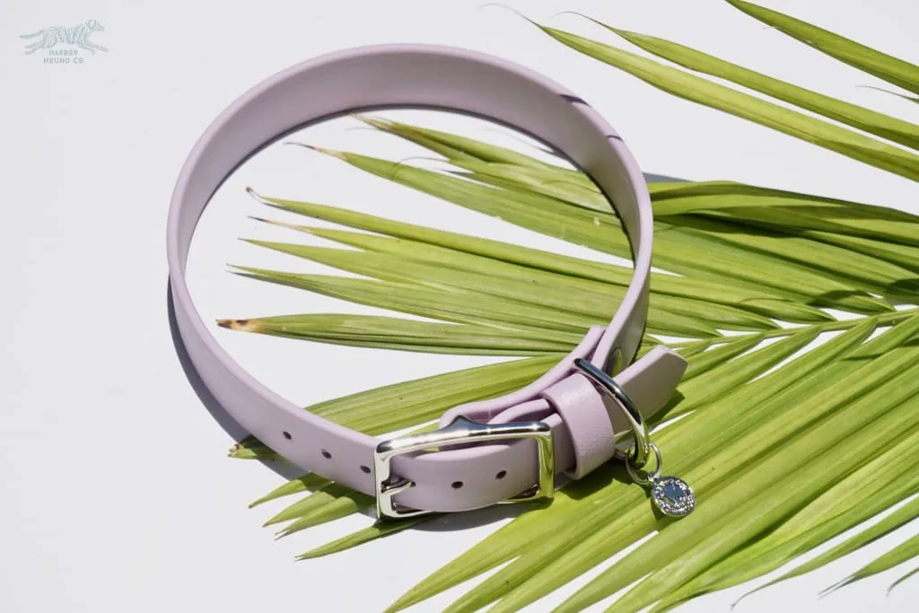 1" Waterproof Buckle Collar