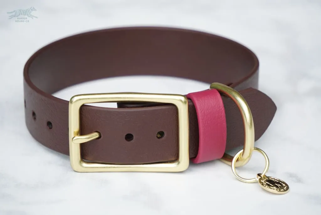1" Waterproof Buckle Collar