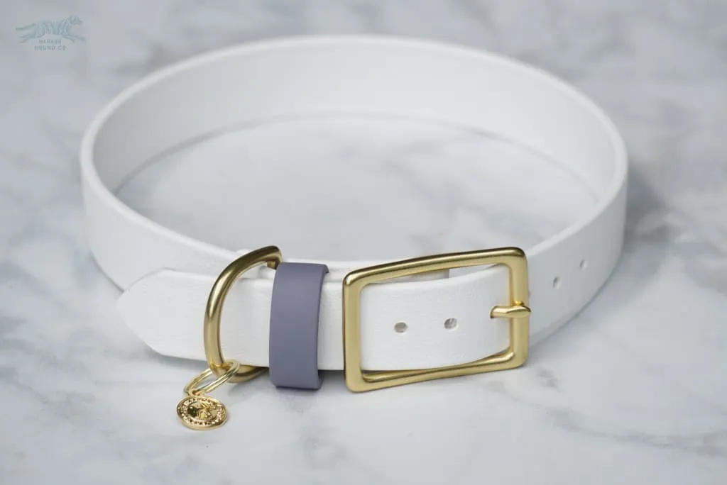 1" Waterproof Buckle Collar