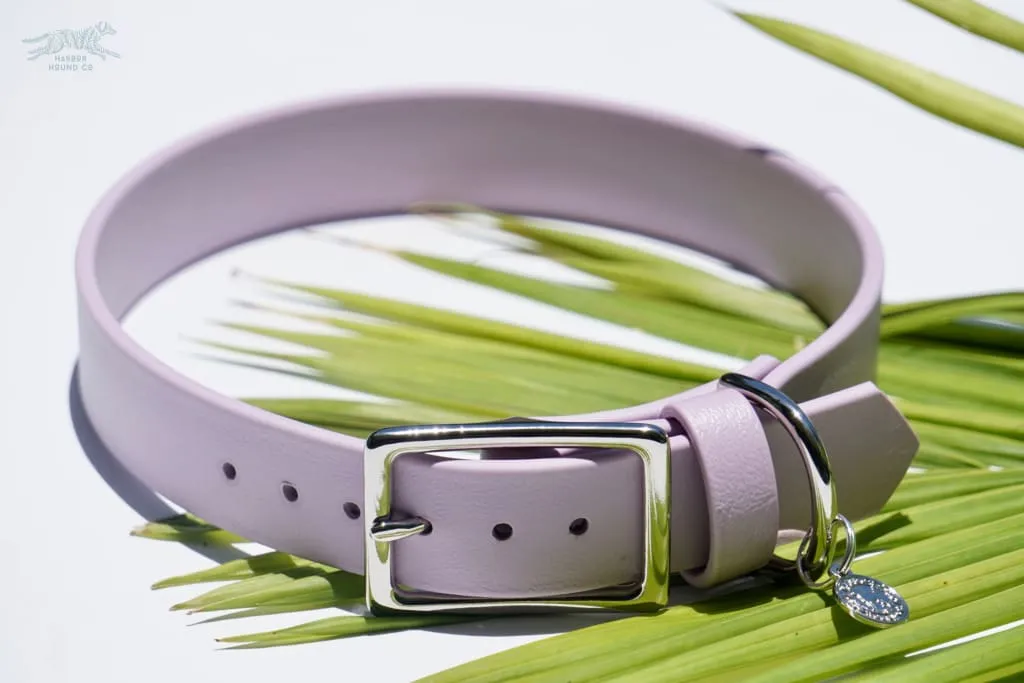 1" Waterproof Buckle Collar