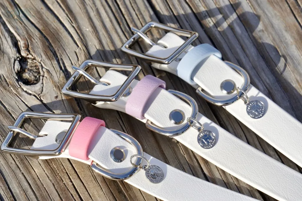 1" Waterproof Buckle Collar