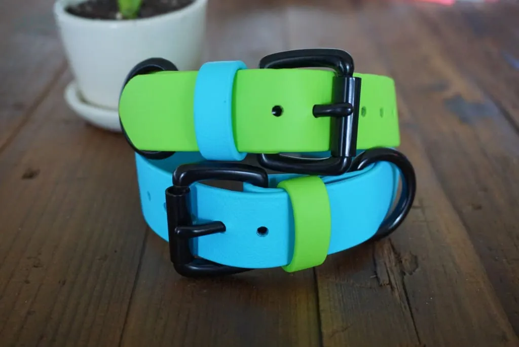1" Waterproof Buckle Collar