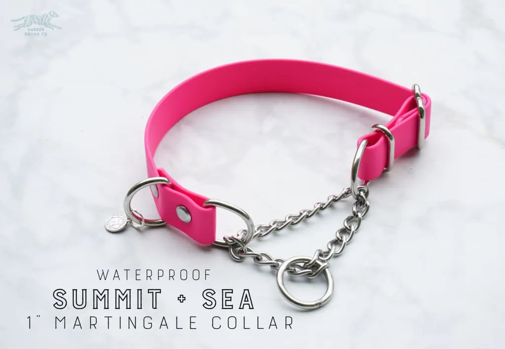 1" Waterproof Martingale Collar